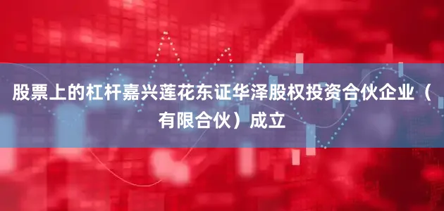 股票上的杠杆嘉兴莲花东证华泽股权投资合伙企业（有限合伙）成立