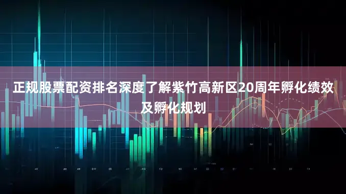 正规股票配资排名深度了解紫竹高新区20周年孵化绩效及孵化规划