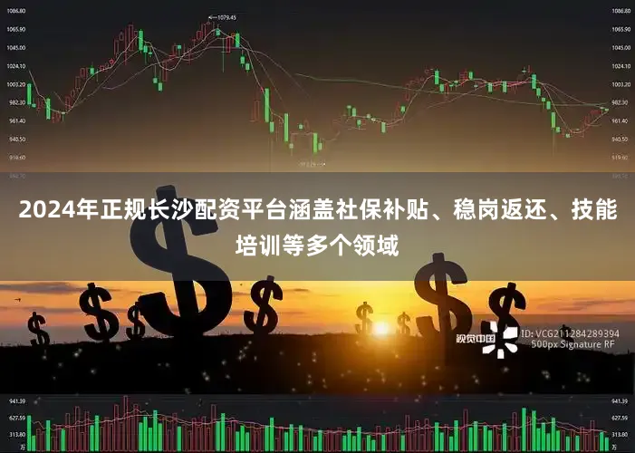 2024年正规长沙配资平台涵盖社保补贴、稳岗返还、技能培训等多个领域