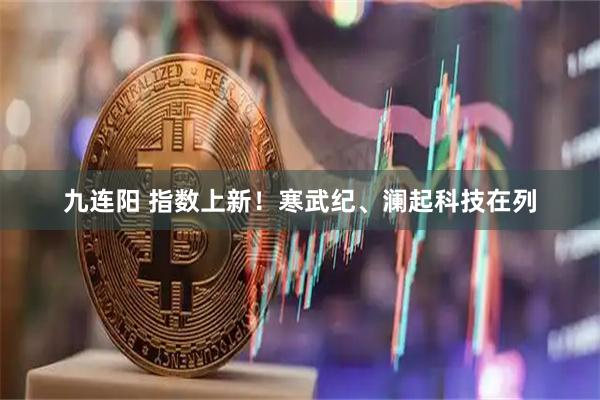 九连阳 指数上新！寒武纪、澜起科技在列