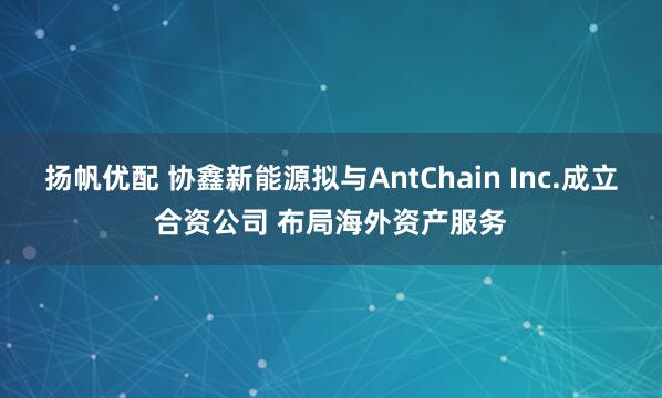 扬帆优配 协鑫新能源拟与AntChain Inc.成立合资公司 布局海外资产服务