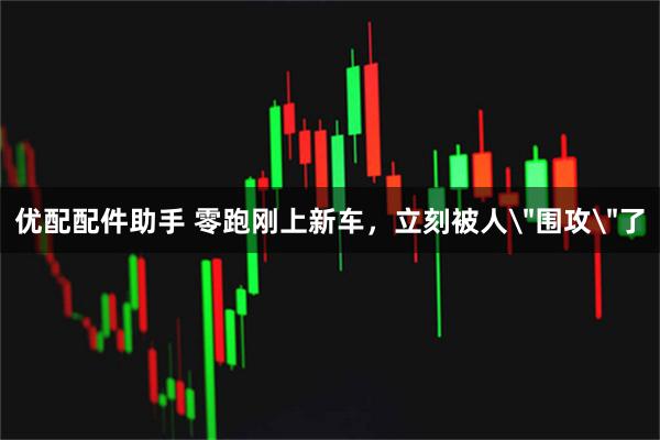 优配配件助手 零跑刚上新车，立刻被人＂围攻＂了