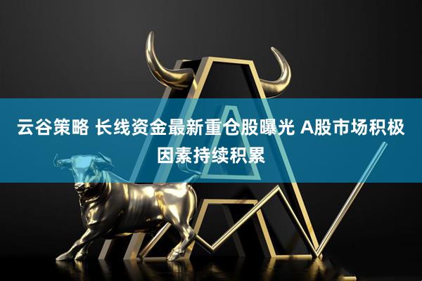 云谷策略 长线资金最新重仓股曝光 A股市场积极因素持续积累